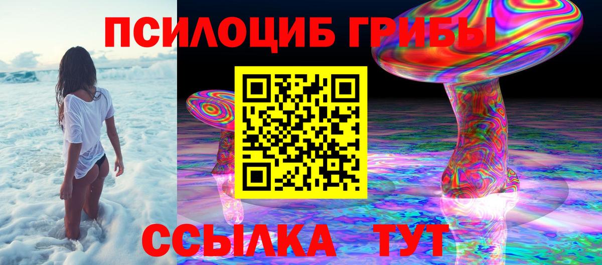 Псилоцибиновые грибы мицелий Урюпинск