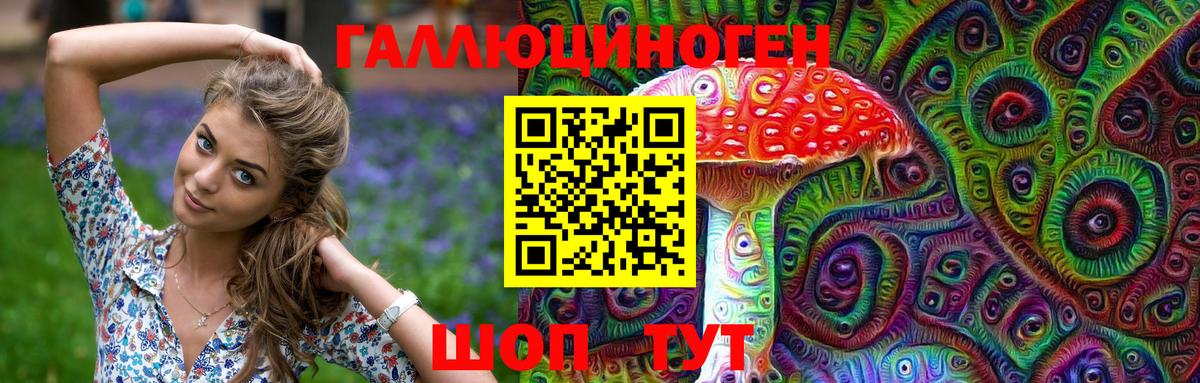 Псилоцибиновые грибы Psilocybe  цены   Урюпинск  Вход с VPN  Псилоцибиновые грибы мицелий 